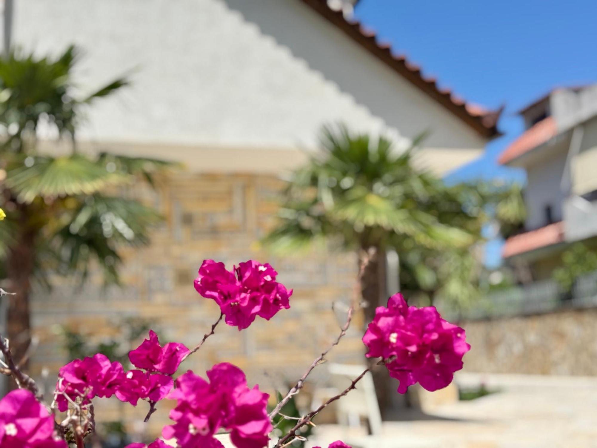 Villa Ida Apartments Avlonya Dış mekan fotoğraf