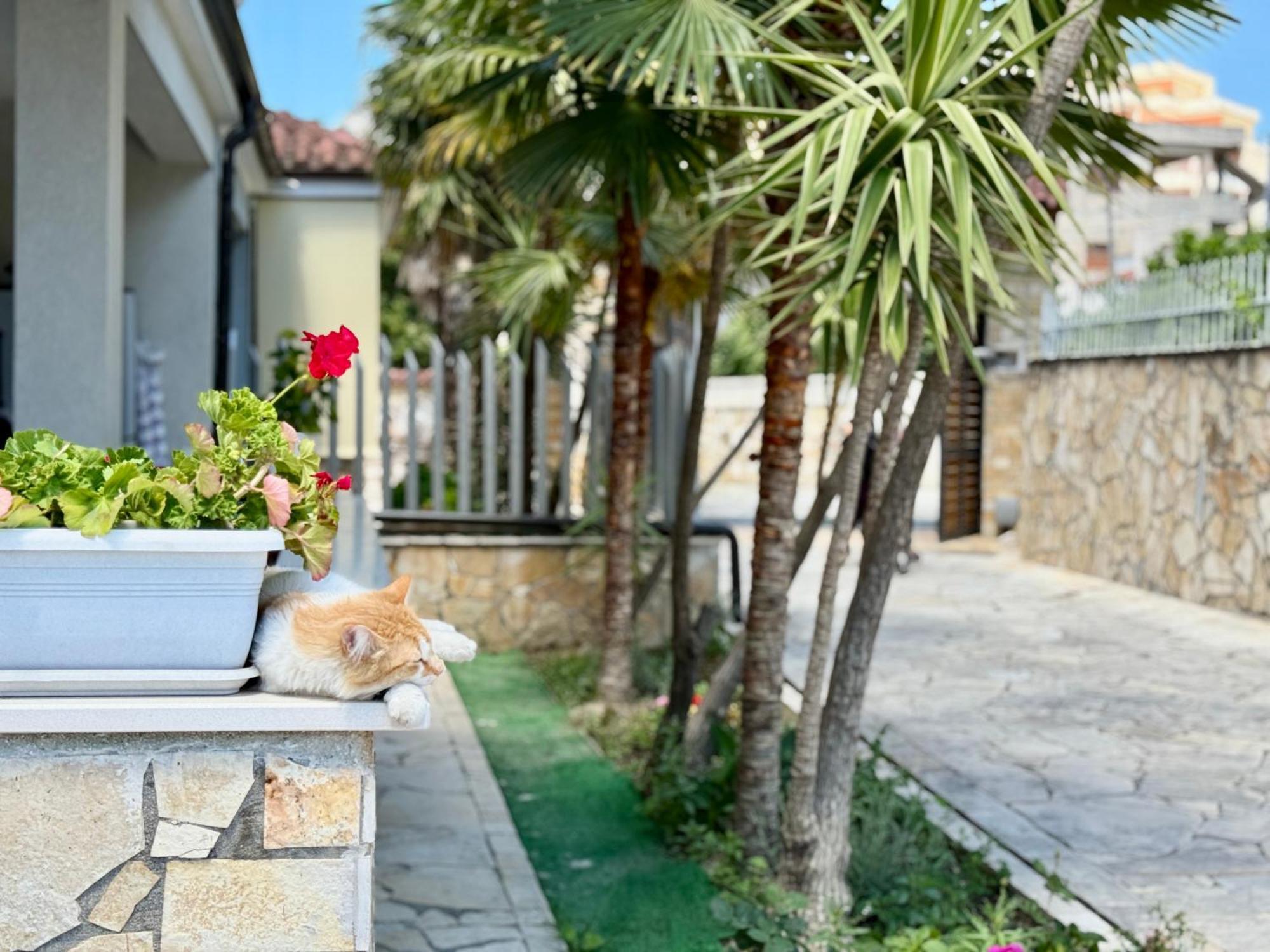 Villa Ida Apartments Avlonya Dış mekan fotoğraf